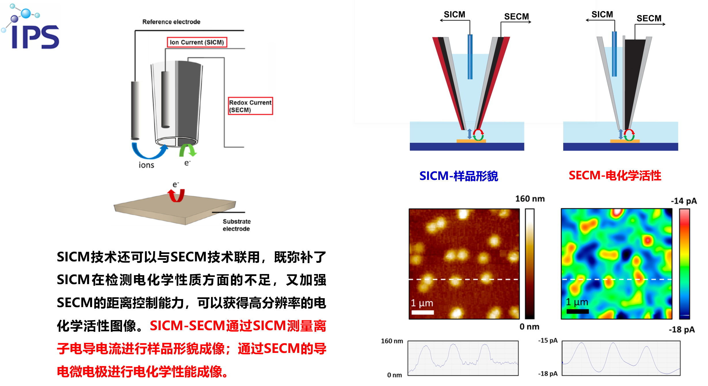 <strong>扫描离子电导显微镜SICM</strong>(图1)