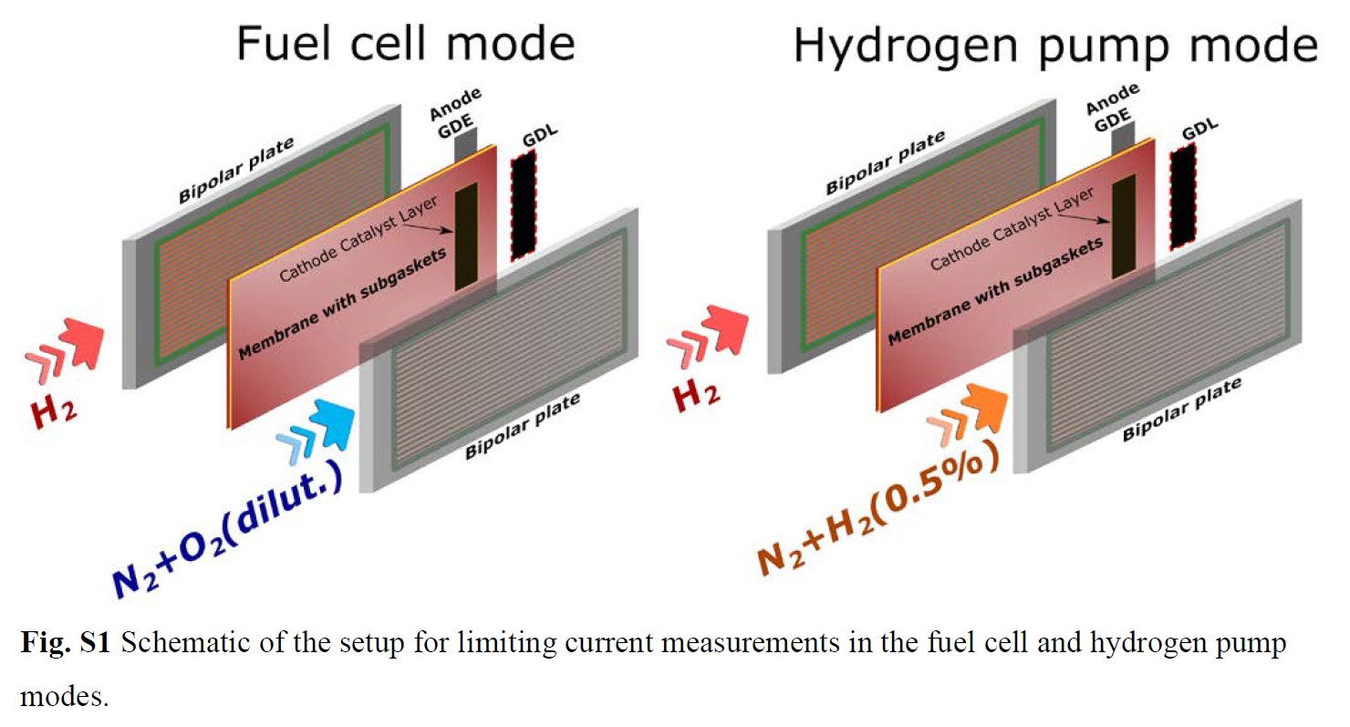 “氢泵”状态下用极限电流法表征气体扩散层GDL的输运性质(图1)