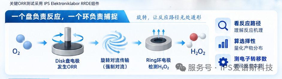 IPS RRDE  爱谱斯旋转环盘电极，让反应路径“看得见(图2)